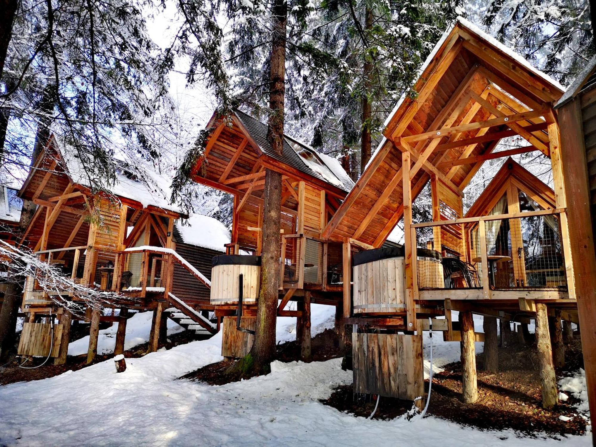 Hotel Ribno Alpine Glamping à Bled Extérieur photo